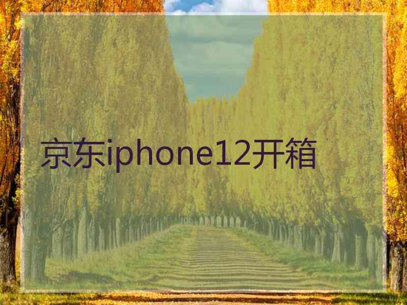 京东iphone12开箱