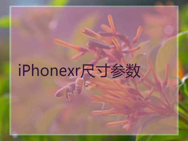 iPhonexr尺寸参数