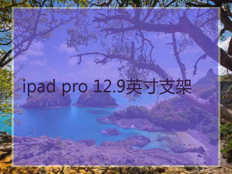 ipad pro 12.9英寸支架