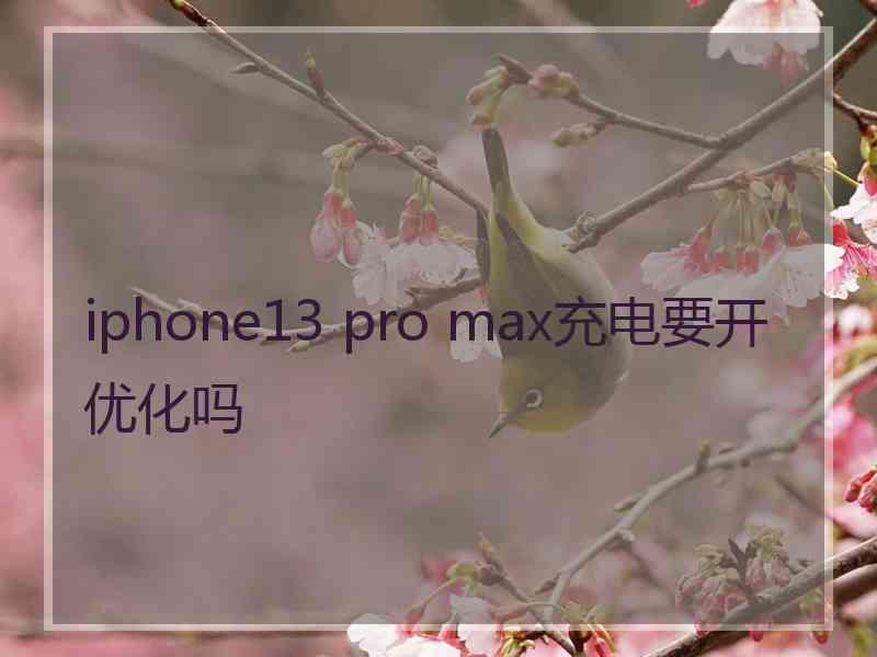 iphone13 pro max充电要开优化吗