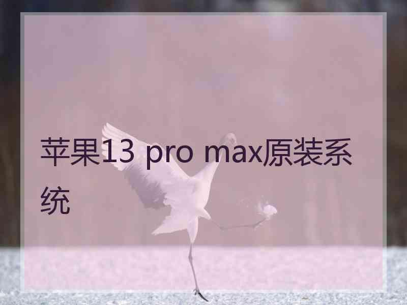 苹果13 pro max原装系统