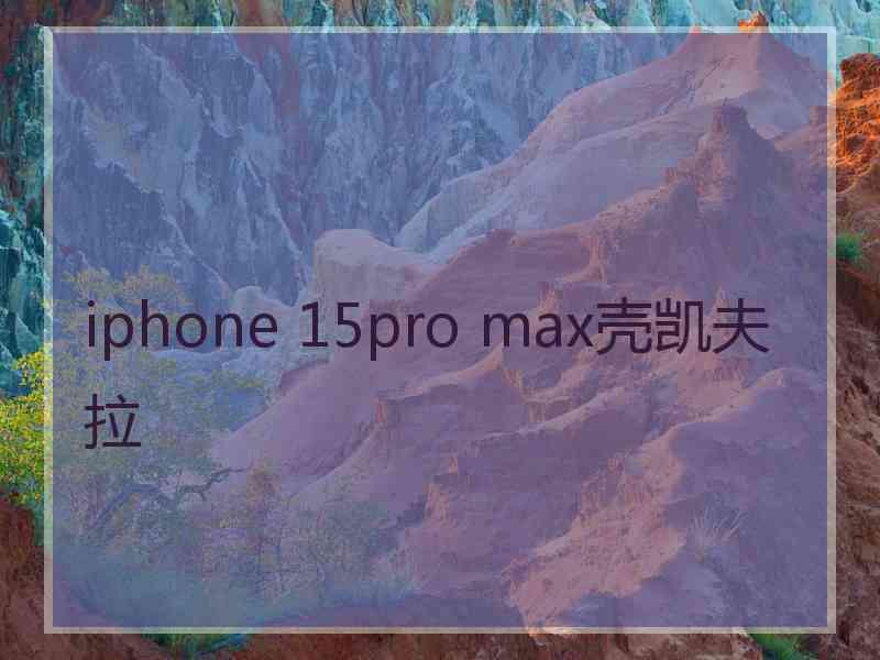 iphone 15pro max壳凯夫拉