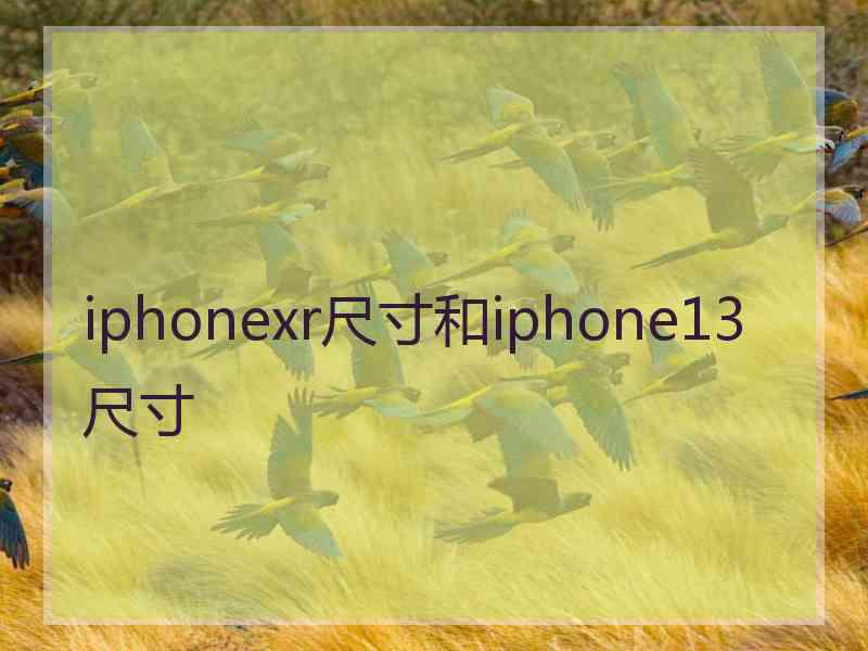 iphonexr尺寸和iphone13尺寸