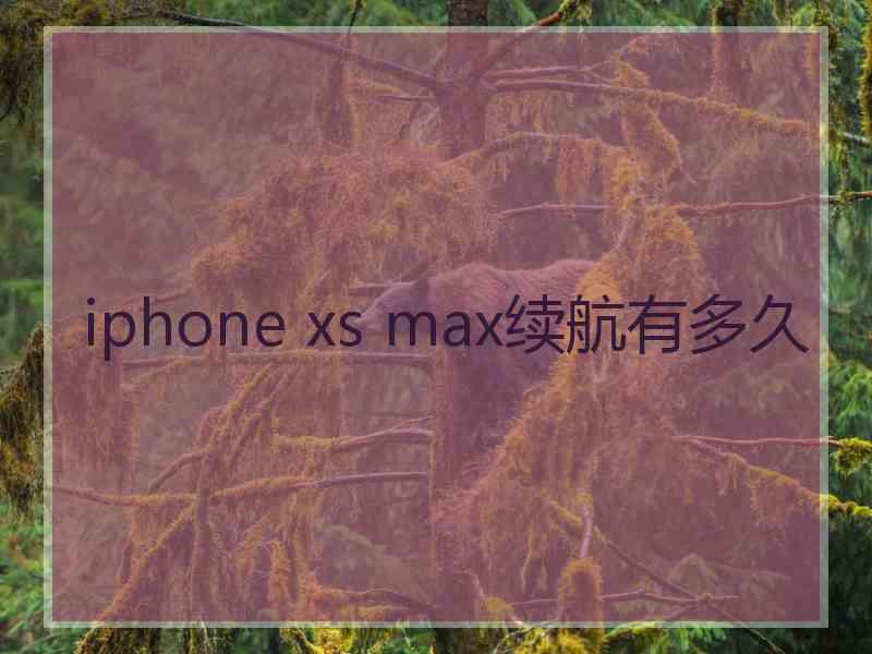 iphone xs max续航有多久