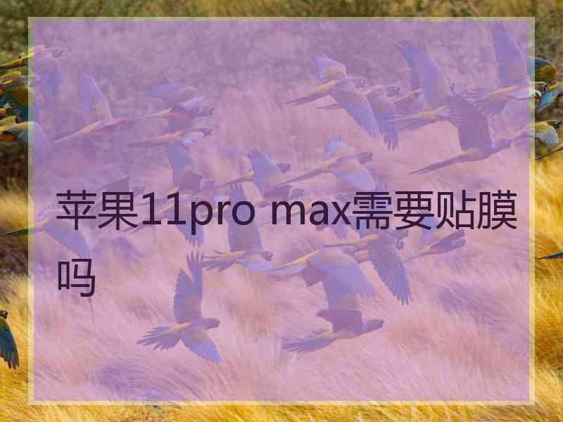 苹果11pro max需要贴膜吗