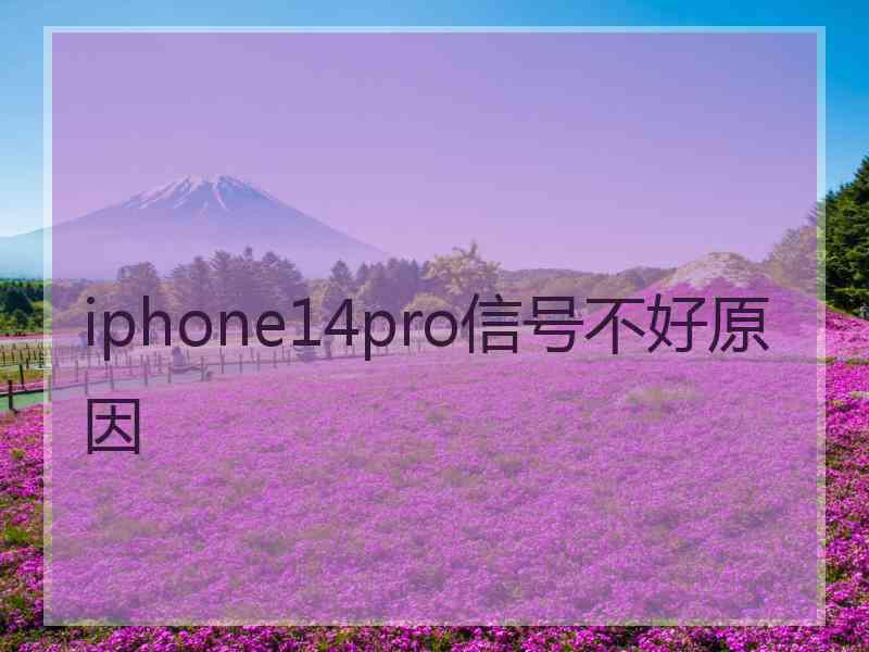 iphone14pro信号不好原因