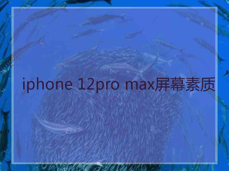 iphone 12pro max屏幕素质