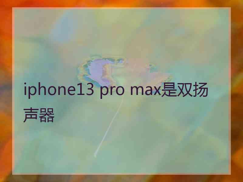 iphone13 pro max是双扬声器