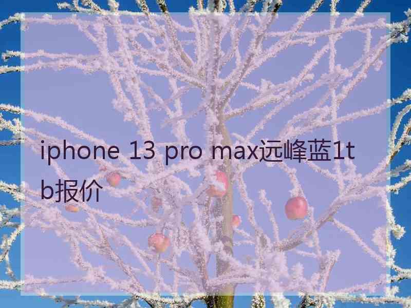 iphone 13 pro max远峰蓝1tb报价