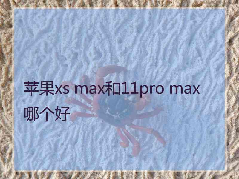 苹果xs max和11pro max哪个好