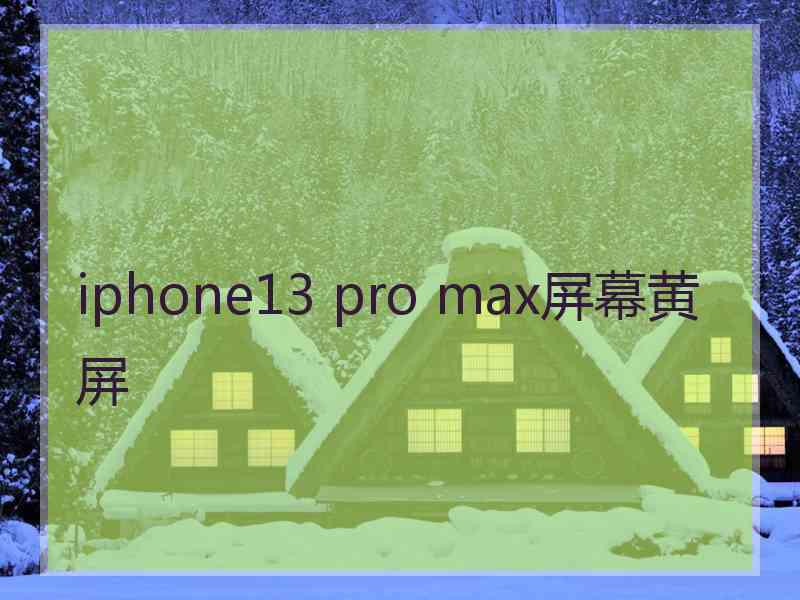 iphone13 pro max屏幕黄屏