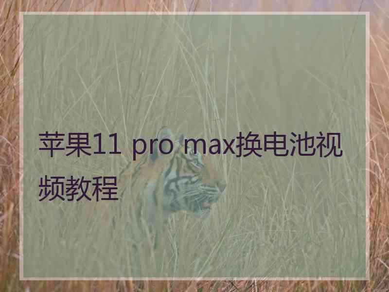 苹果11 pro max换电池视频教程