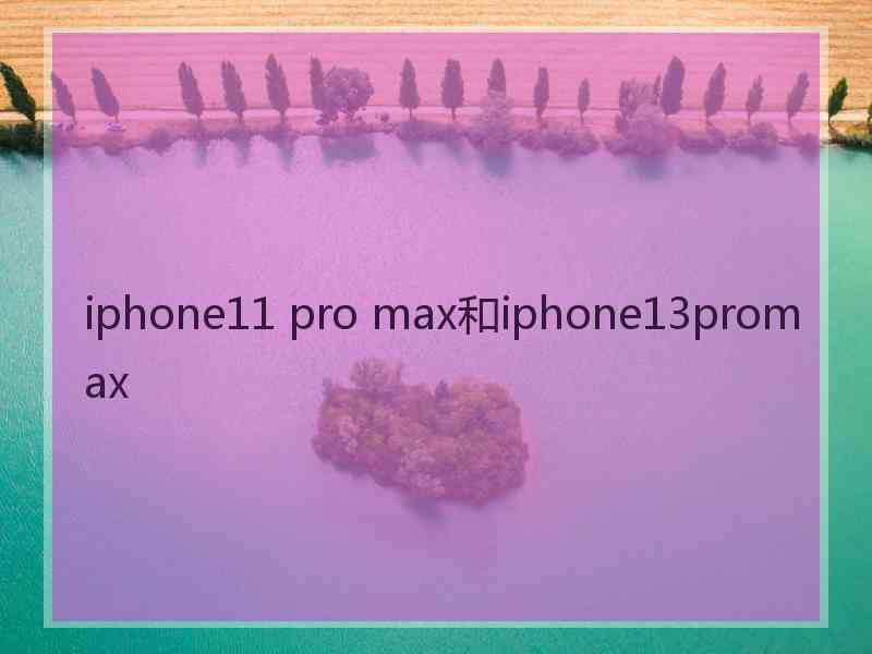 iphone11 pro max和iphone13promax