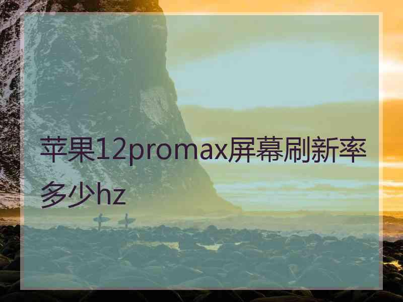 苹果12promax屏幕刷新率多少hz