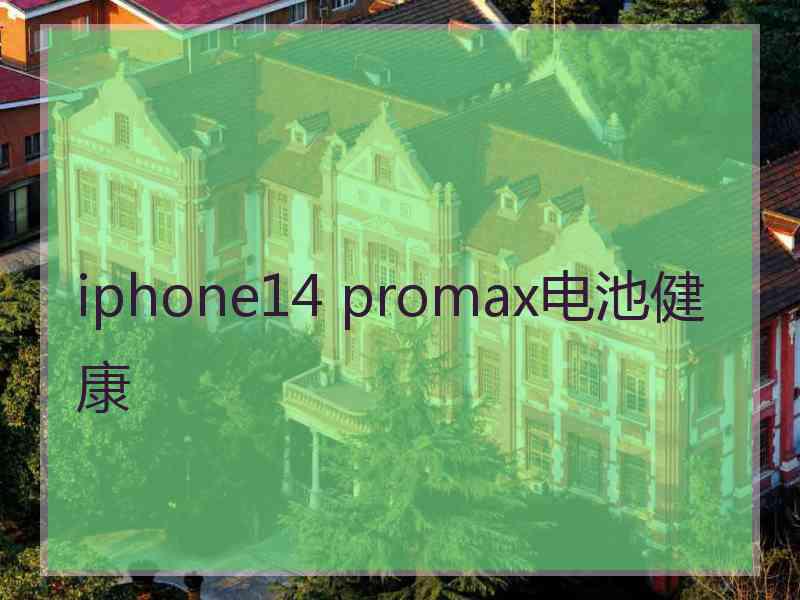 iphone14 promax电池健康