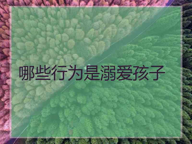 哪些行为是溺爱孩子