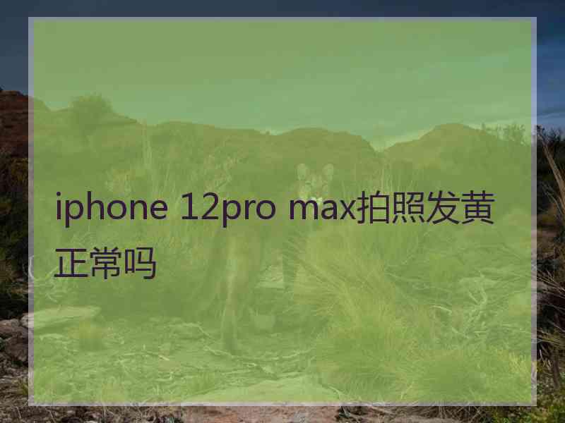 iphone 12pro max拍照发黄正常吗