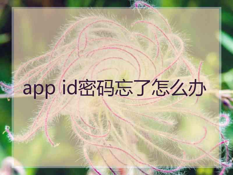 app id密码忘了怎么办