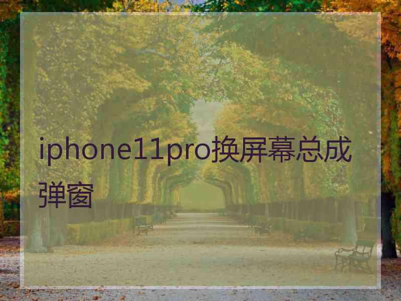 iphone11pro换屏幕总成弹窗