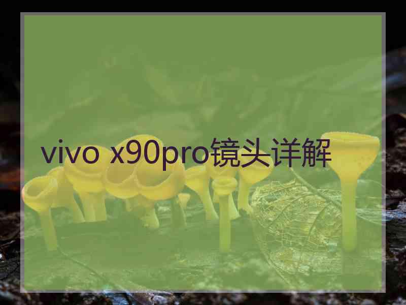 vivo x90pro镜头详解