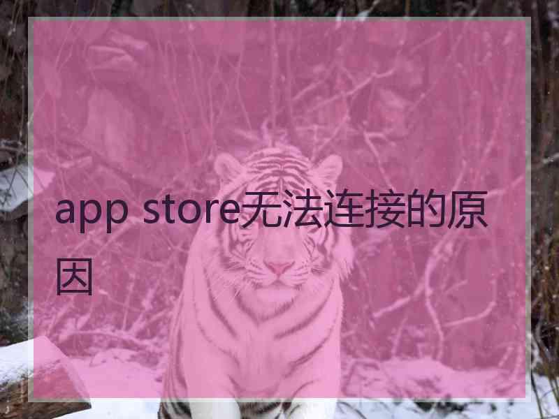 app store无法连接的原因