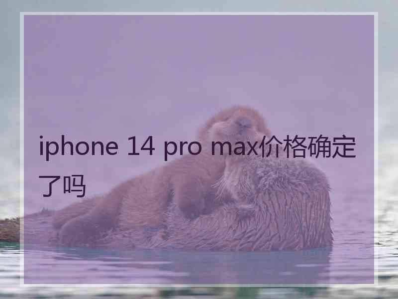 iphone 14 pro max价格确定了吗