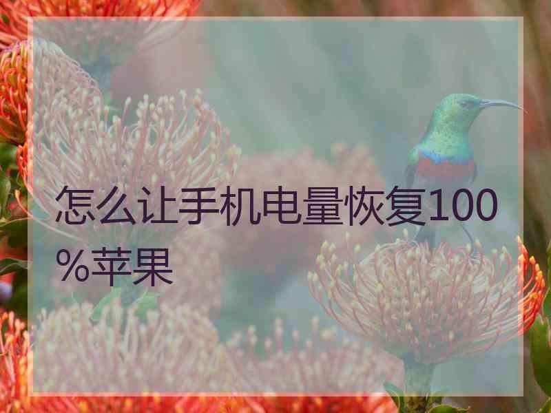 怎么让手机电量恢复100%苹果