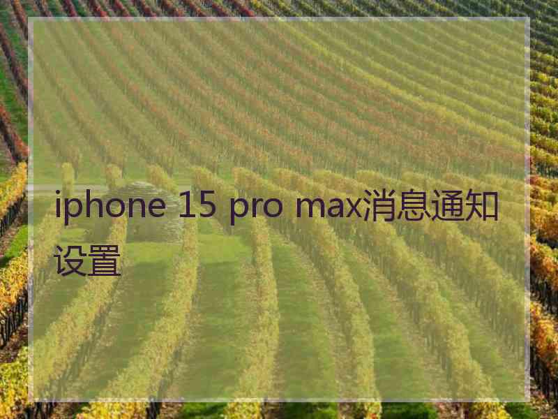 iphone 15 pro max消息通知设置