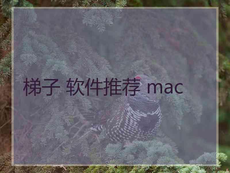 梯子 软件推荐 mac