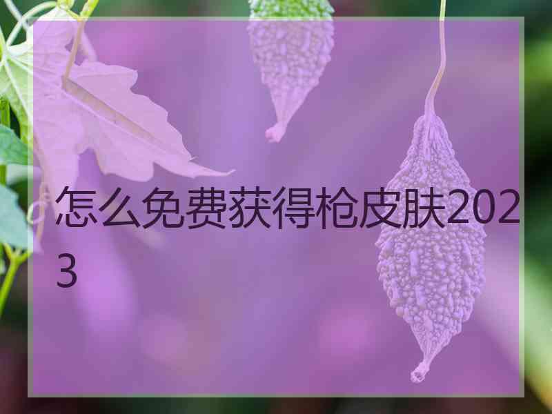 怎么免费获得枪皮肤2023