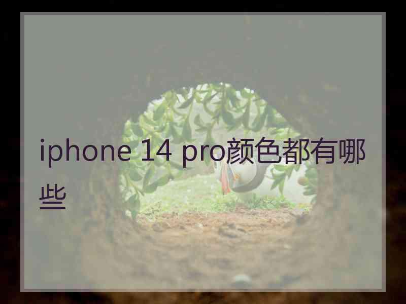 iphone 14 pro颜色都有哪些