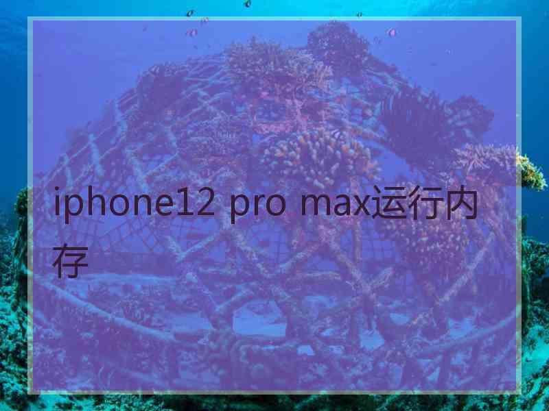 iphone12 pro max运行内存