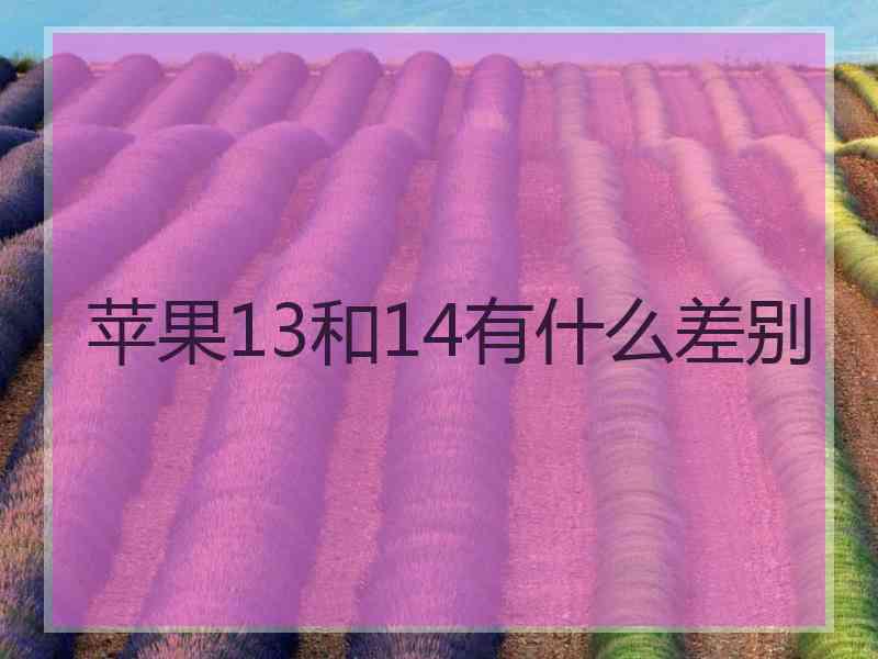 苹果13和14有什么差别