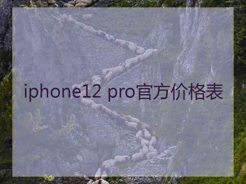 iphone12 pro官方价格表