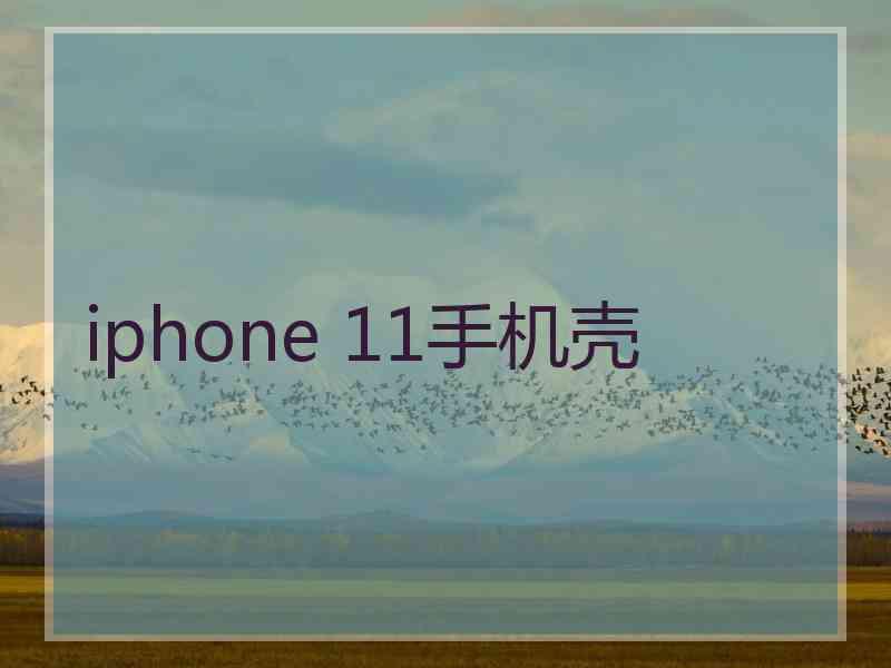 iphone 11手机壳