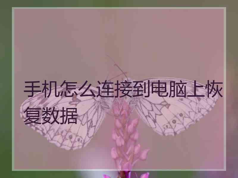 手机怎么连接到电脑上恢复数据