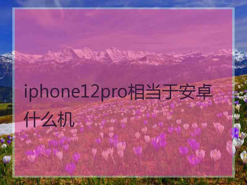 iphone12pro相当于安卓什么机