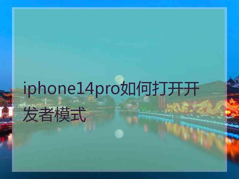 iphone14pro如何打开开发者模式