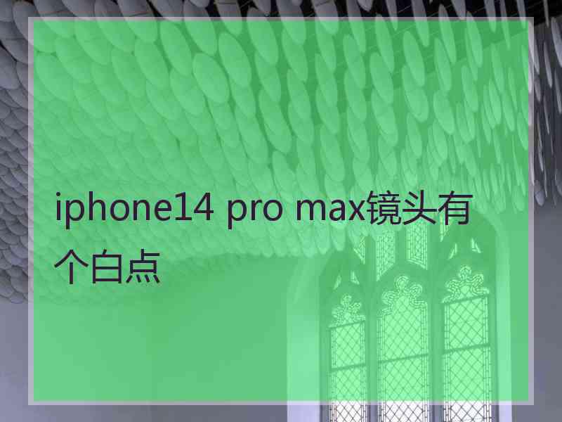 iphone14 pro max镜头有个白点