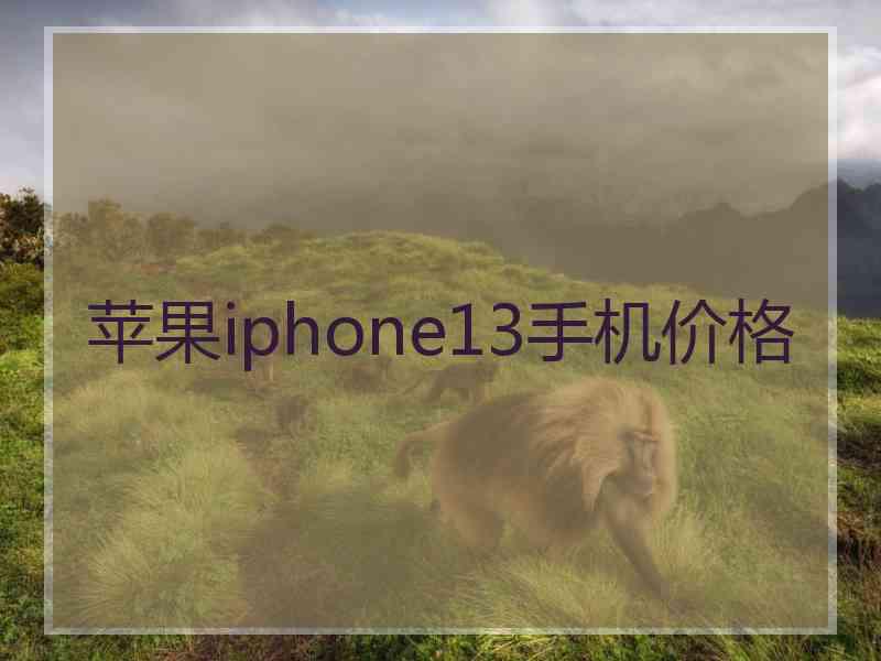 苹果iphone13手机价格