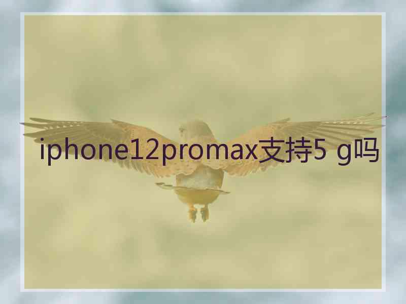 iphone12promax支持5 g吗