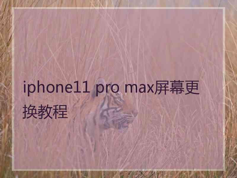 iphone11 pro max屏幕更换教程