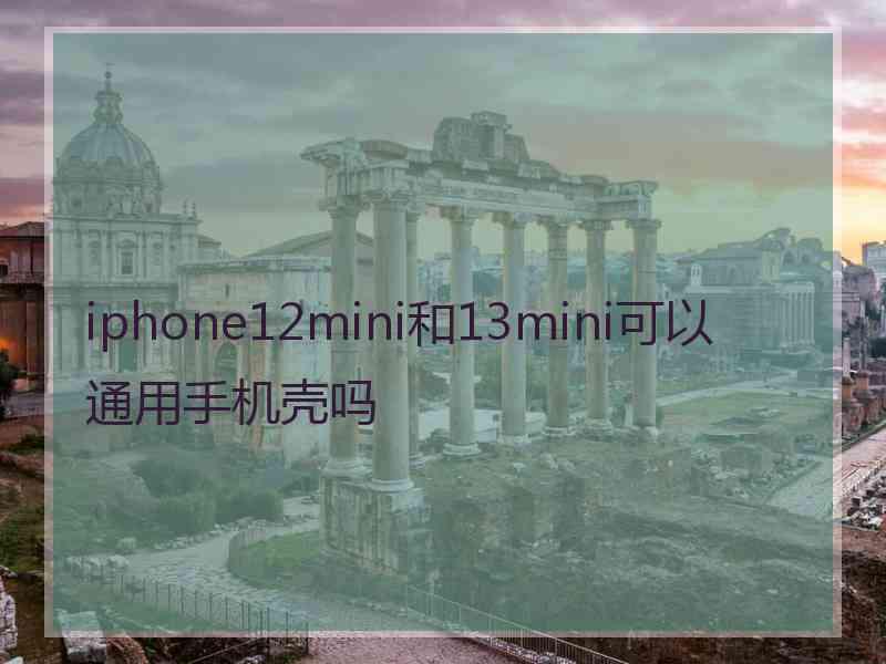 iphone12mini和13mini可以通用手机壳吗