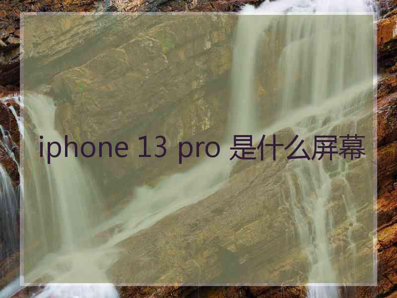 iphone 13 pro 是什么屏幕