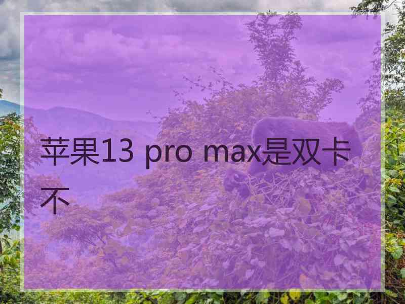 苹果13 pro max是双卡不