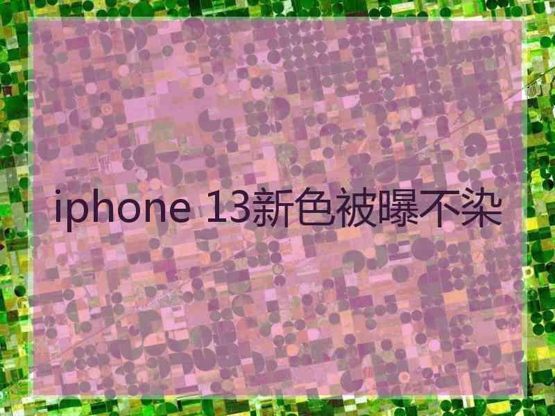 iphone 13新色被曝不染