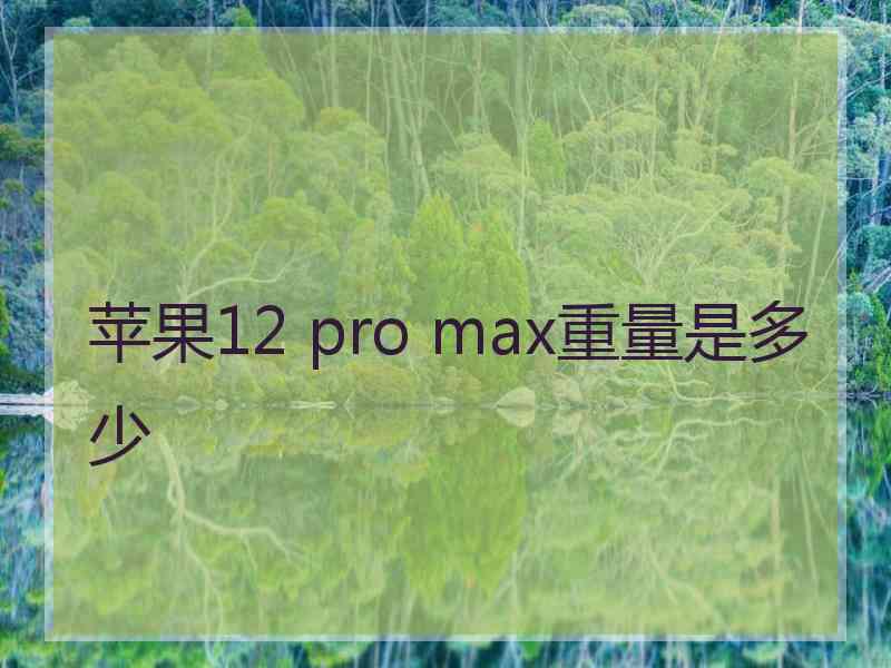 苹果12 pro max重量是多少