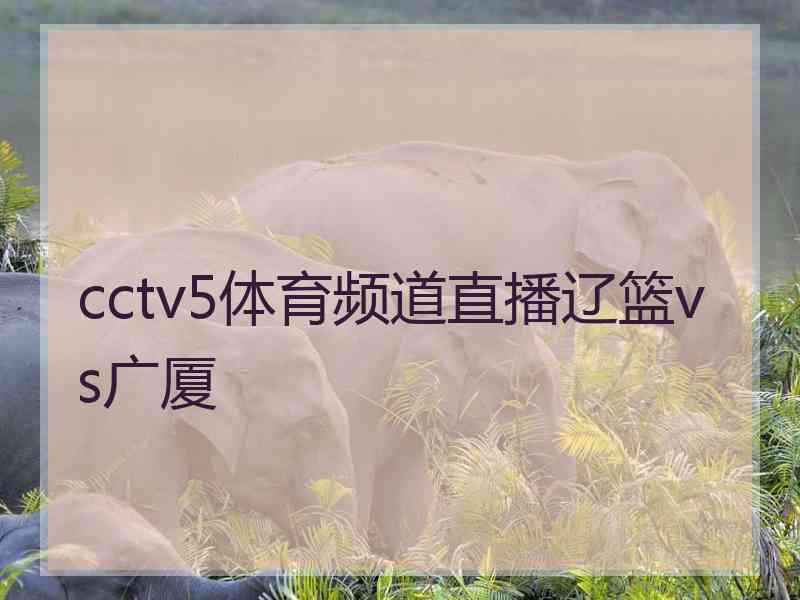 cctv5体育频道直播辽篮vs广厦