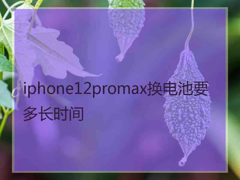 iphone12promax换电池要多长时间