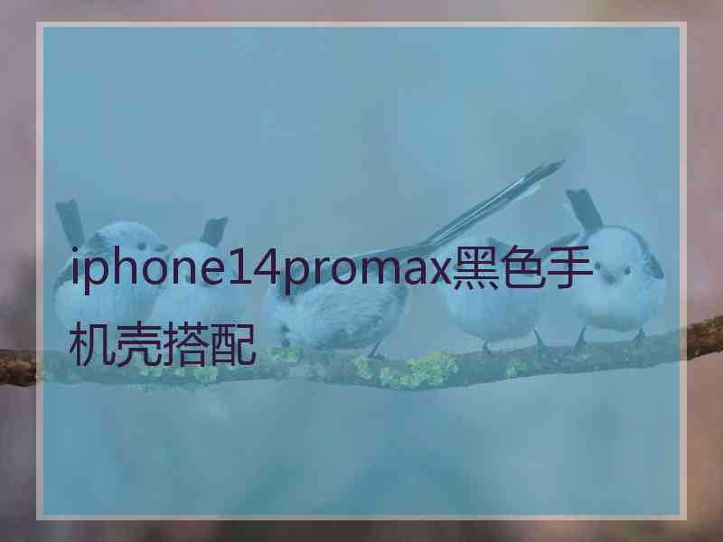 iphone14promax黑色手机壳搭配